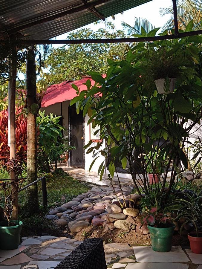 Posadamanduka Eco-Hostel บิยาบิเซนซิโอ ภายนอก รูปภาพ