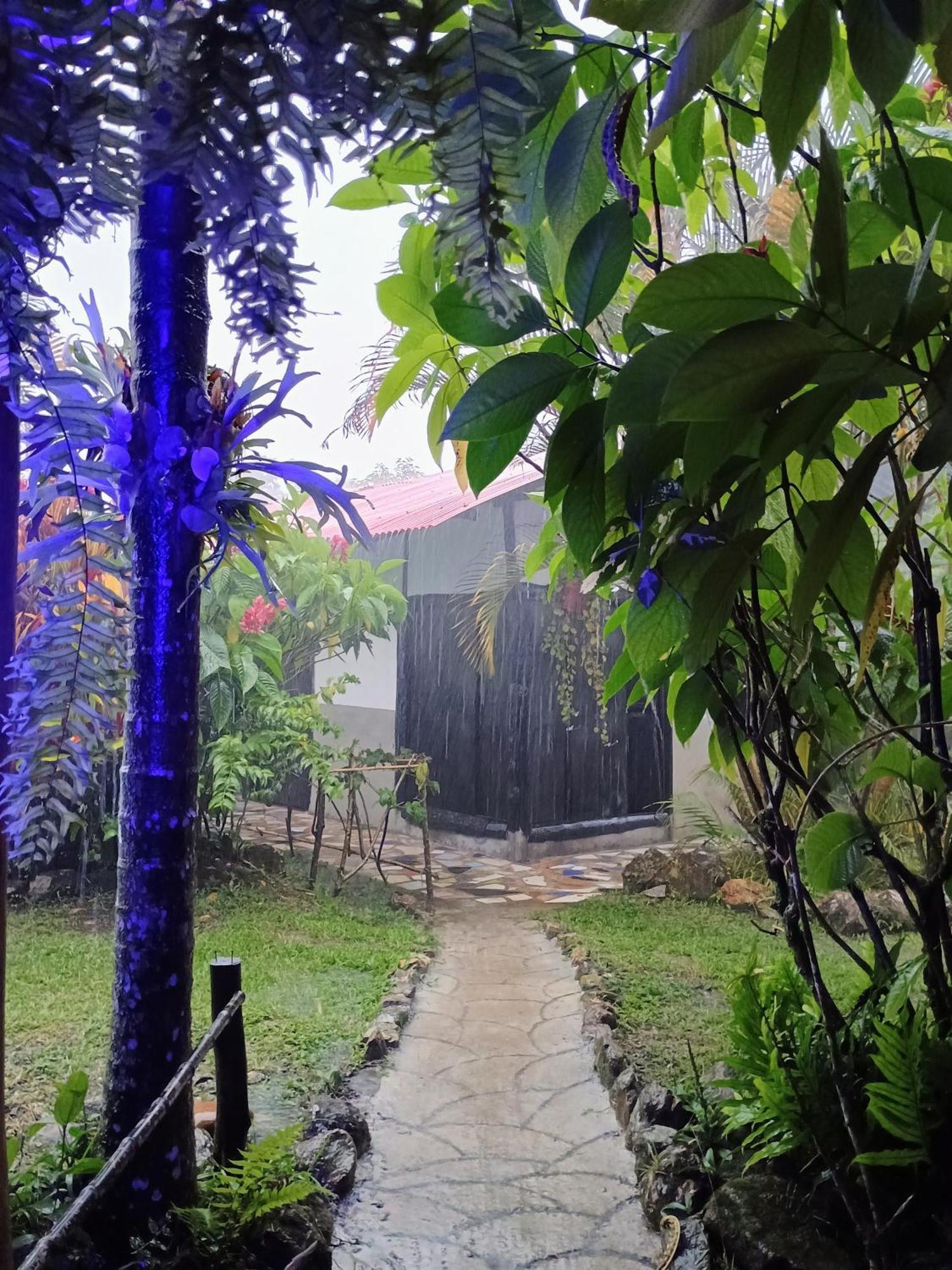 Posadamanduka Eco-Hostel บิยาบิเซนซิโอ ภายนอก รูปภาพ